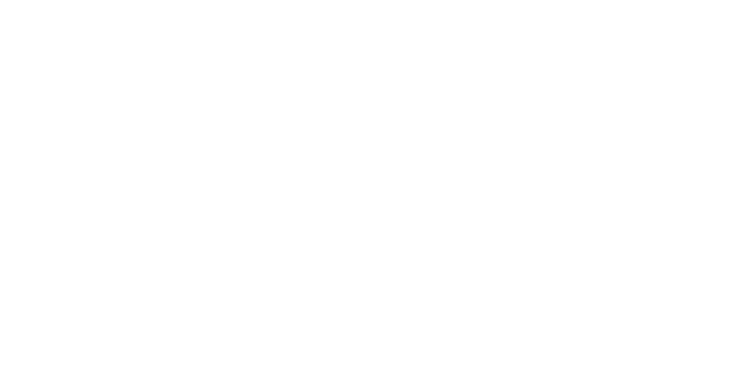 logo-pockey